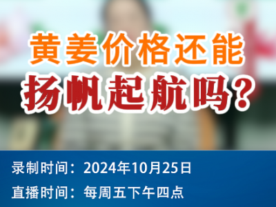 農情漫談：黃姜價格還能揚帆起航嗎？ ()