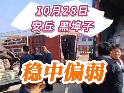 10月28日 安丘黑埠子（穩中偏弱） ()