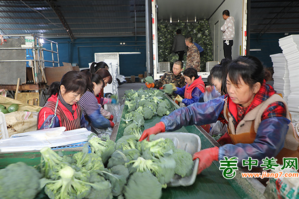 甘肅臨澤：蔬菜冷庫助農搶占“鮮”機 ()