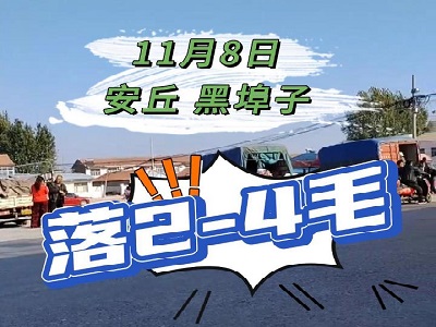 11月8日 安丘黑埠子（落2-4毛） ()