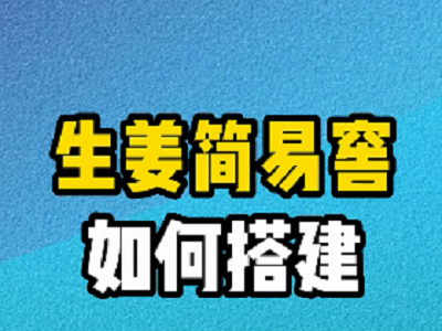 生姜簡易窖如何搭建？ ()