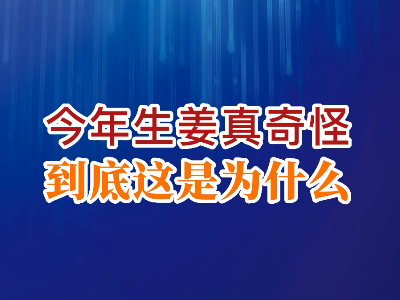 老石說姜：今年生姜真奇怪，到底這是為什么？ ()