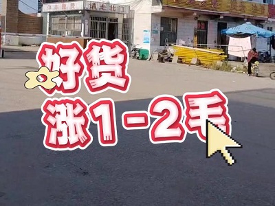 11月21日 安丘黑埠子（好貨漲1-2毛） ()