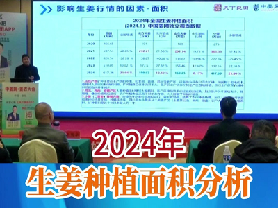 2024年生姜種植面積分析 ()