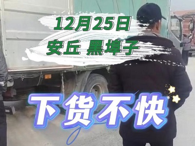 12月25日 安丘黑埠子（下貨不快） ()